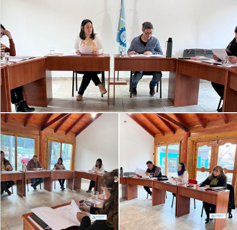 sesión 28 de agosto lago puelo concejo deliberante