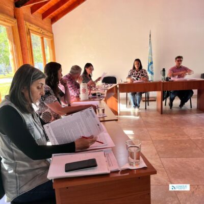 Sesionó el Concejo Deliberante de Lago Puelo