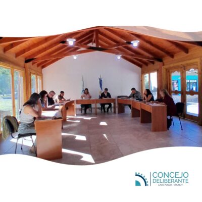 Sesión extraordinaria del 9 de enero de 2025.